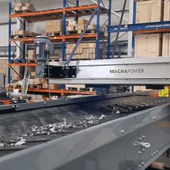 Overband magnetic separator removing ferrous metals from waste stream in a recycling and magnetic separation system.